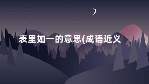 表里如一的意思(成语近义词/反义词/出处/造句)