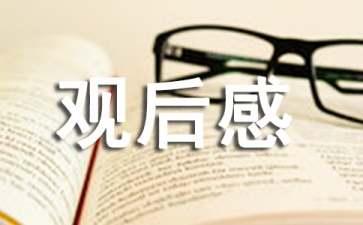 鸡毛信观后感500字