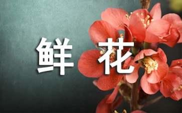 马蹄莲鲜花的养殖方法