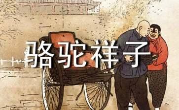 骆驼祥子读后感600字优秀作文