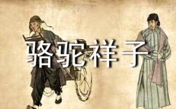 初中作文骆驼祥子读后感500字