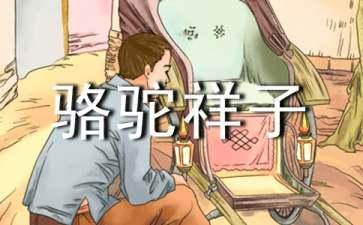 老舍作品骆驼祥子读后感500