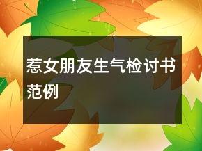 惹女朋友生气检讨书范例