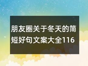 朋友圈关于冬天的简短好句文案大全116句